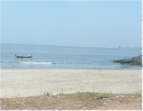 Images/cochin 651.jpg